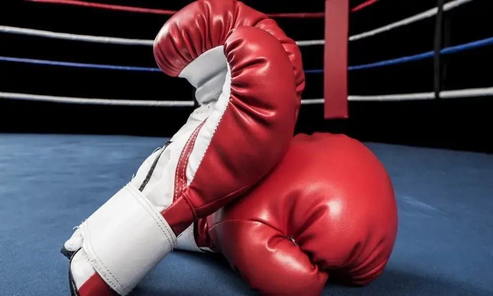 Algerian boxing aims for positive results amid excellent conditions