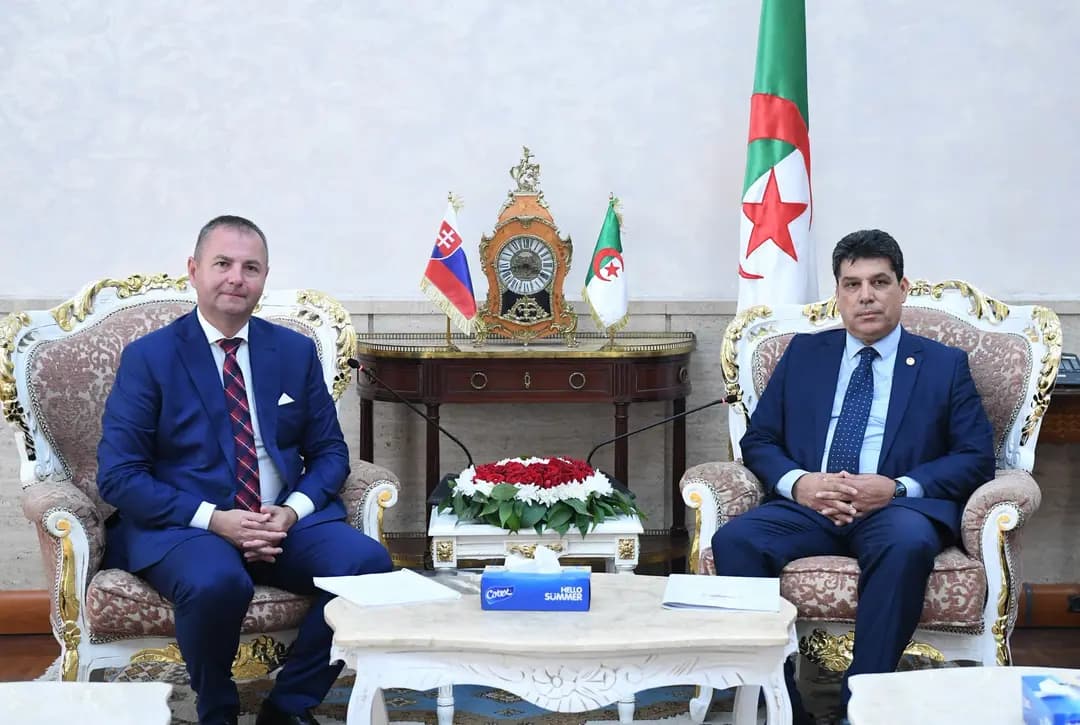 Lower House: Foreign Affairs Committee Chairman meets Slovak counterpart