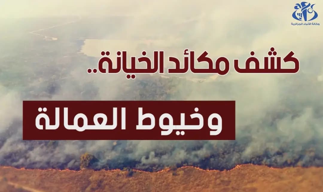 Forest fires: Despicable plot to weaken Algeria, target its unity foiled