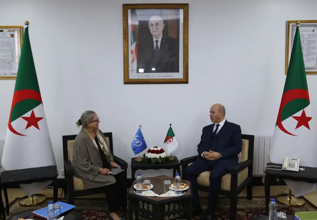 Saihi, UN Resident Coordinator in Algeria discuss fostering cooperation