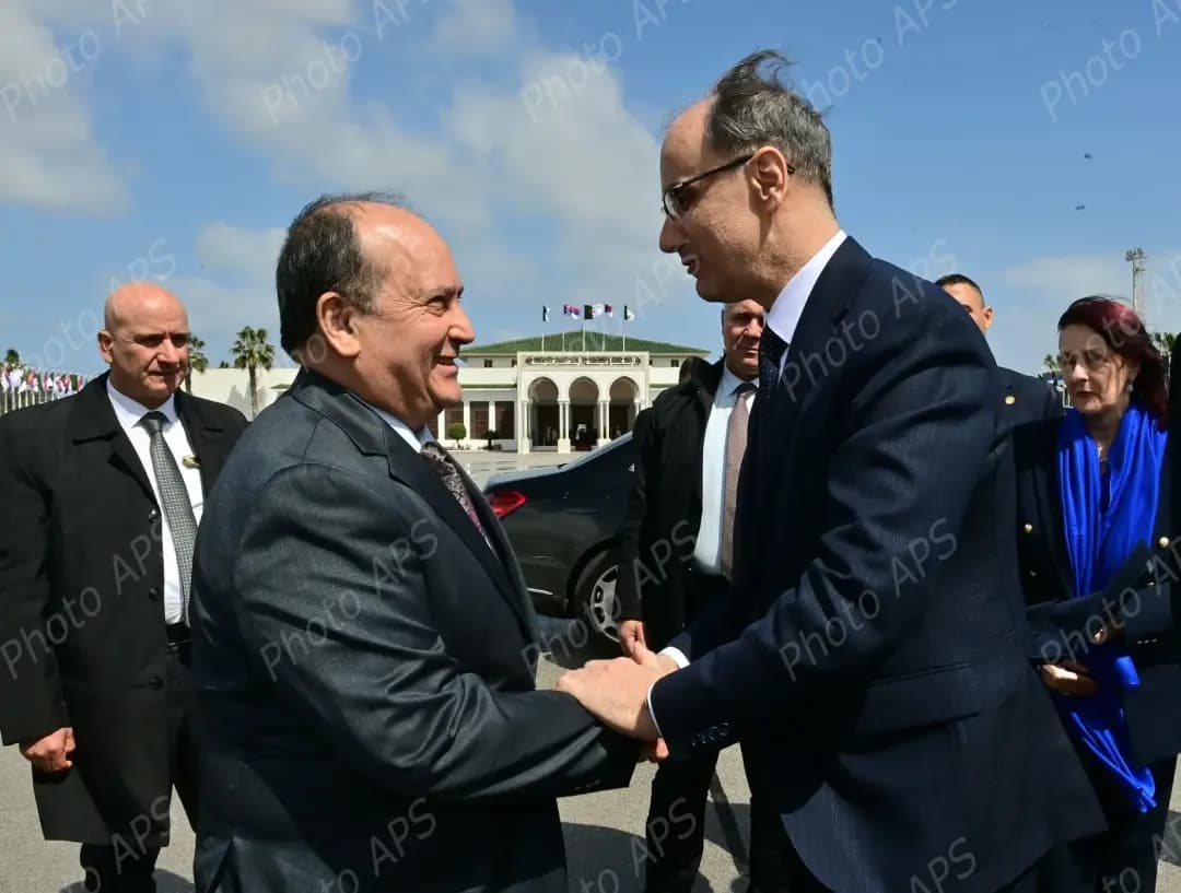 Serbian PM wraps up working visit to Algeria