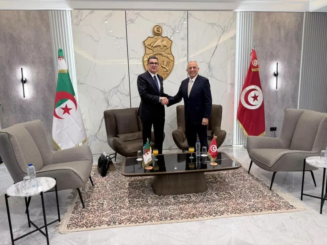 Minister of Health participates in Tunis international digital health conference
