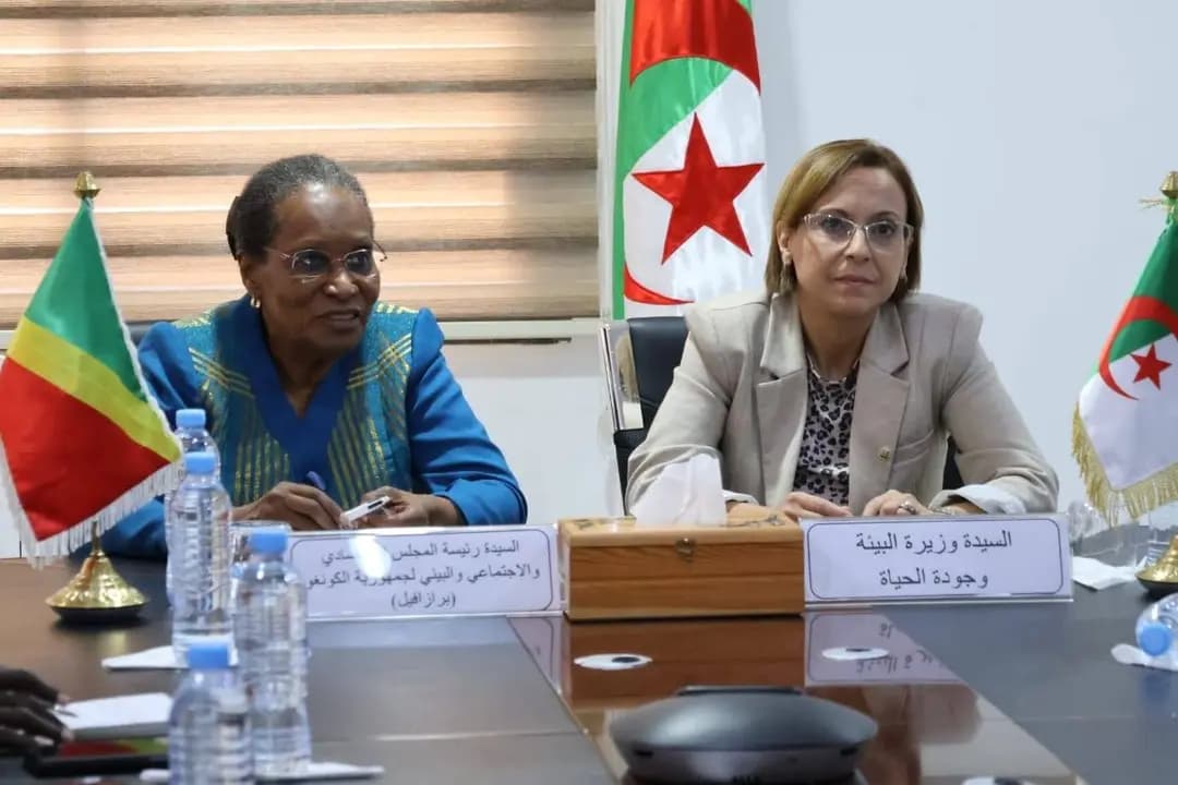 Krikou, President of Congo's Economic, Social, and Environmental Council discuss ways to foster cooperation
