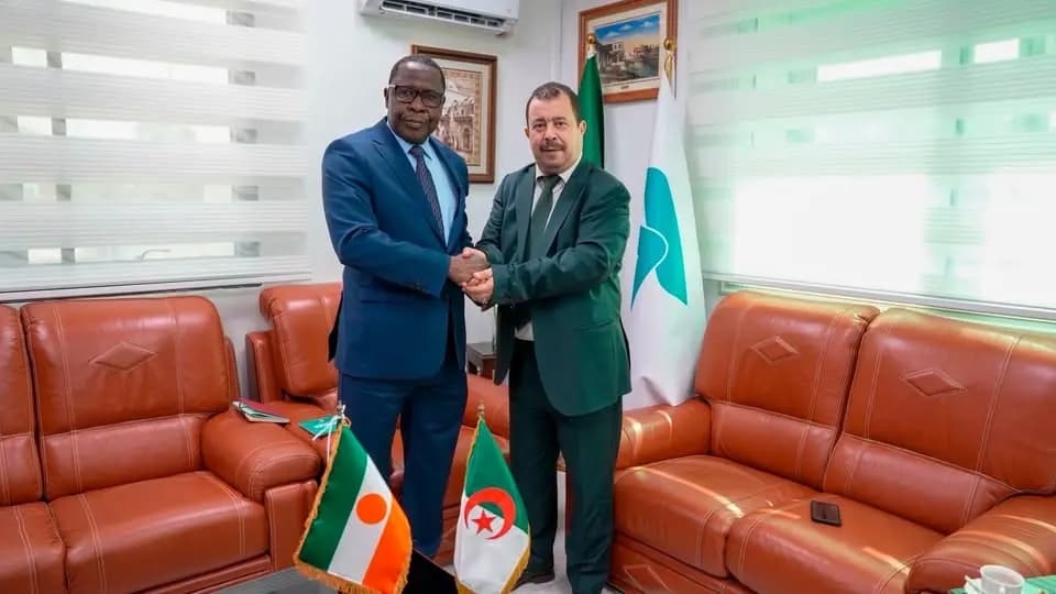 Saidal, Niger discuss stronger pharmaceutical cooperation