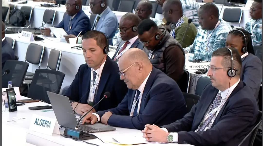 Director General of Forests attends COP17 on desertification in Mongolia