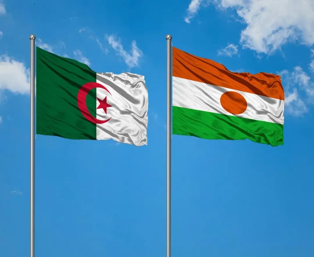 Algeria-Niger relations gain momentum through strategic energy, economic projects