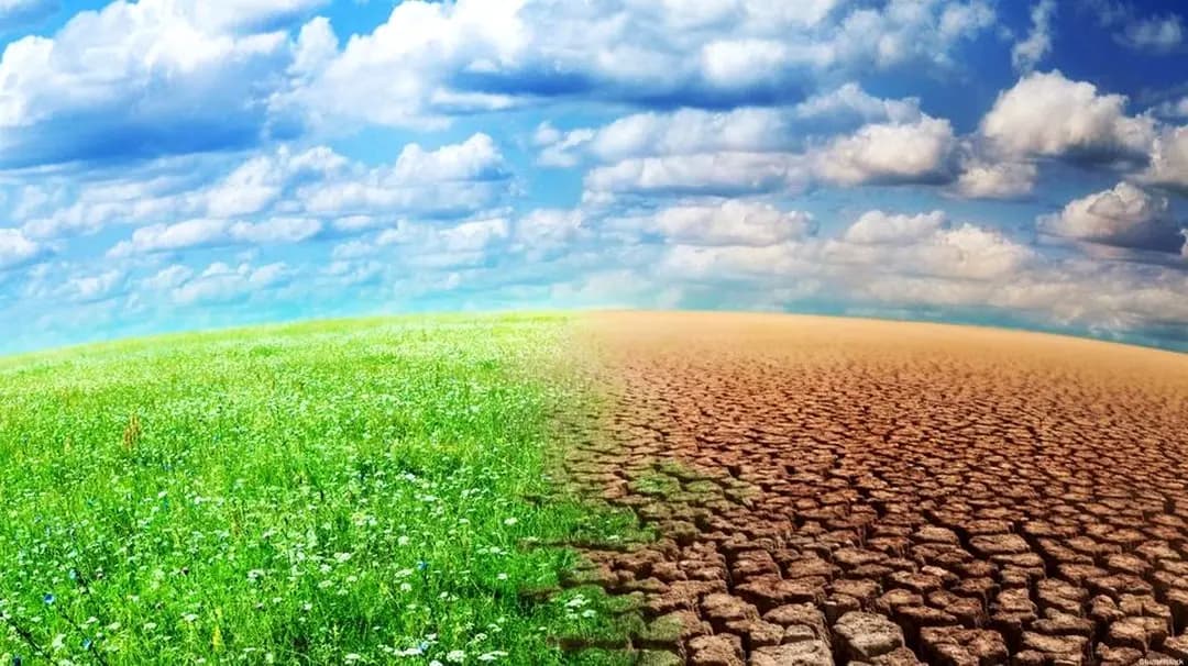 Algeria marks World Day to Combat Desertification and Drought on Wednesday