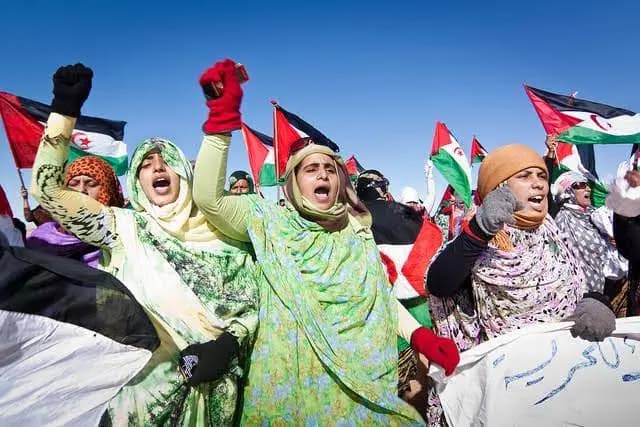 International support surges for Sahrawi self-determination, independence