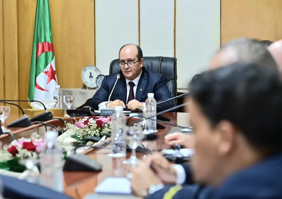 Annaba Port: PM oversees mining wharf progress