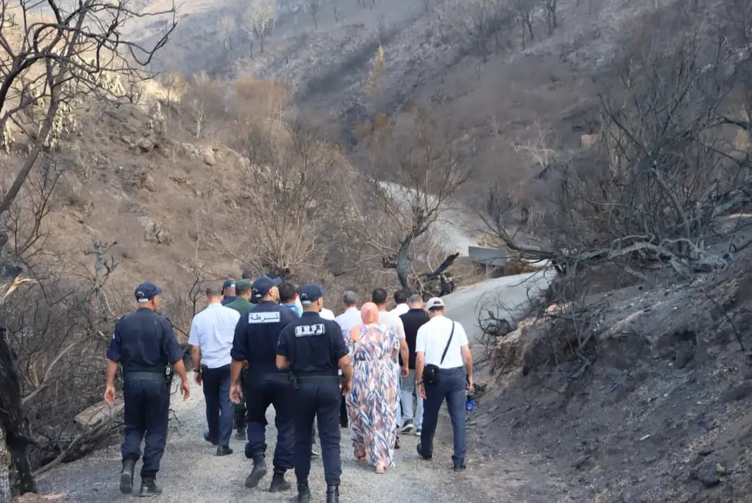 Jijel: Over 98% of wildfire-affected farmers surveyed for compensation