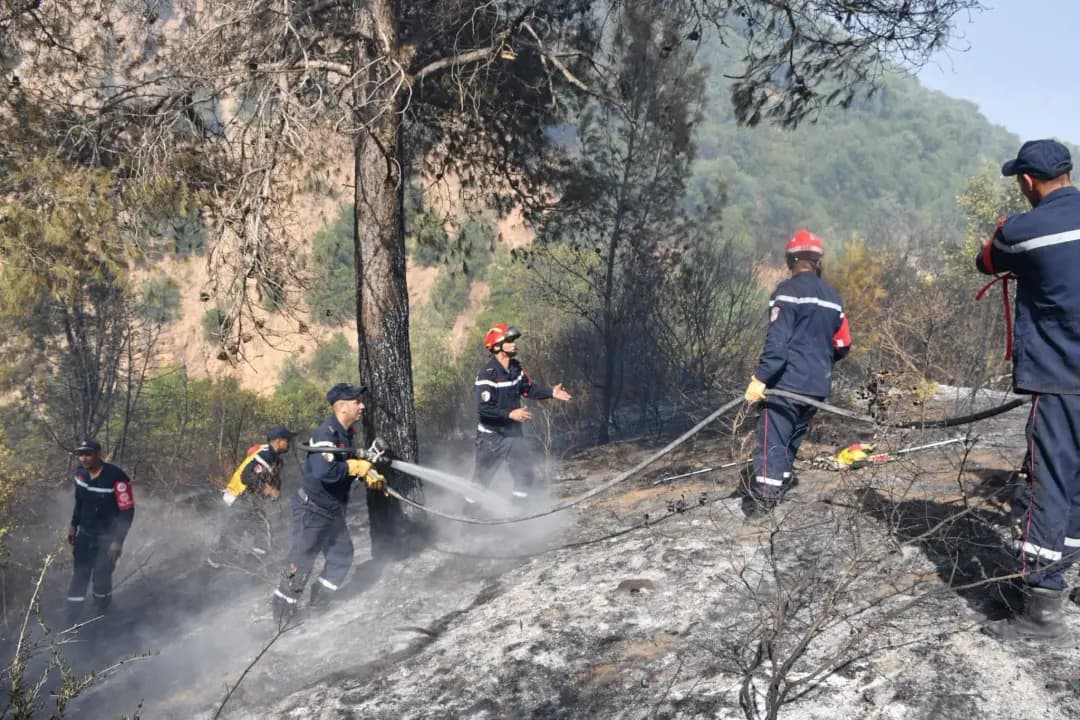 Civil Protection extinguishes 45 of 63 fires in last 24 hours