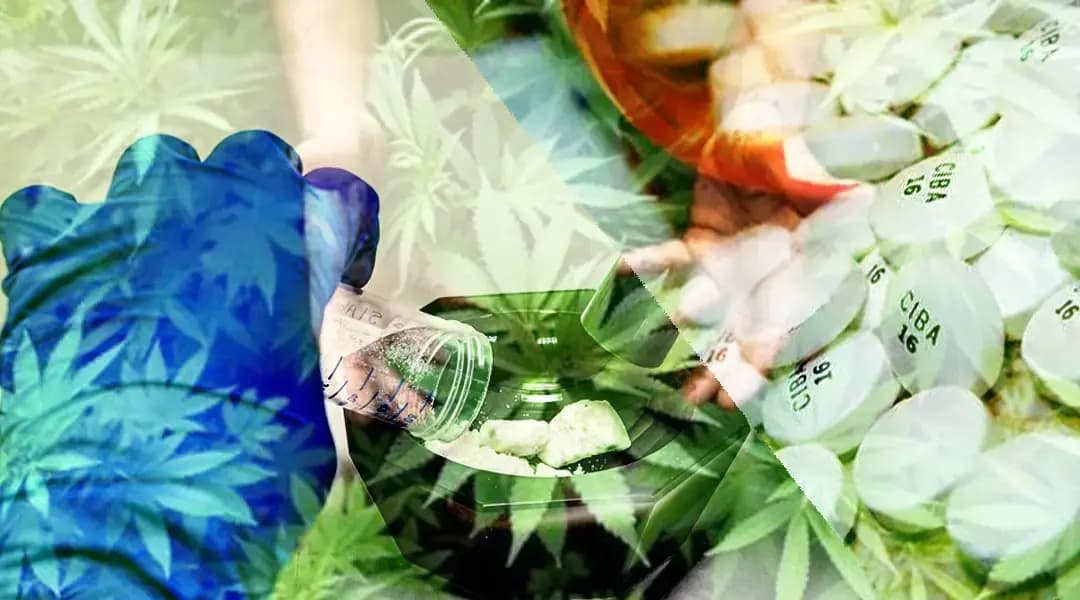 Morocco: Secret labs for dangerous hallucinogens rival cannabis resin, cocaine production (Reports)