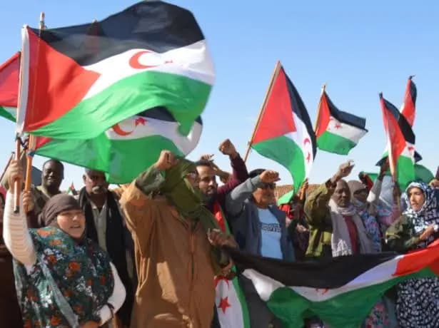 Moroccan bots seek to silence Arab solidarity with Sahrawi cause, says Committee