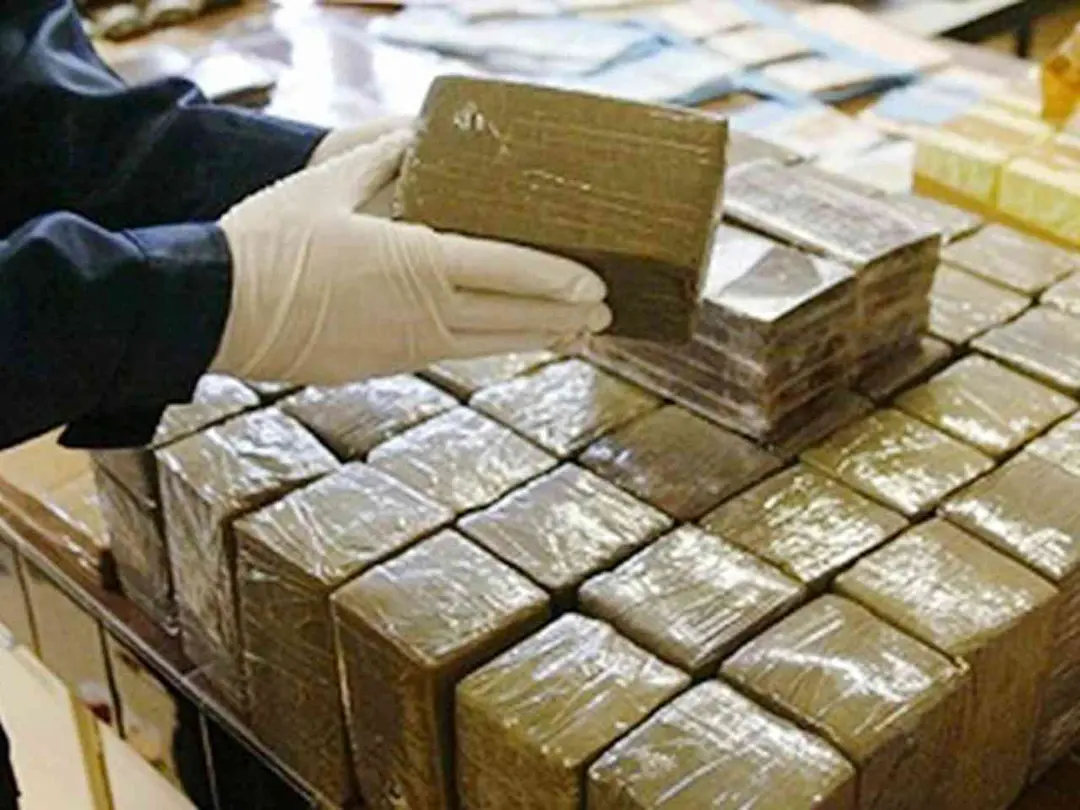 Dangerous shift from cannabis resin economy to chemical drug manufacturing in secret labs