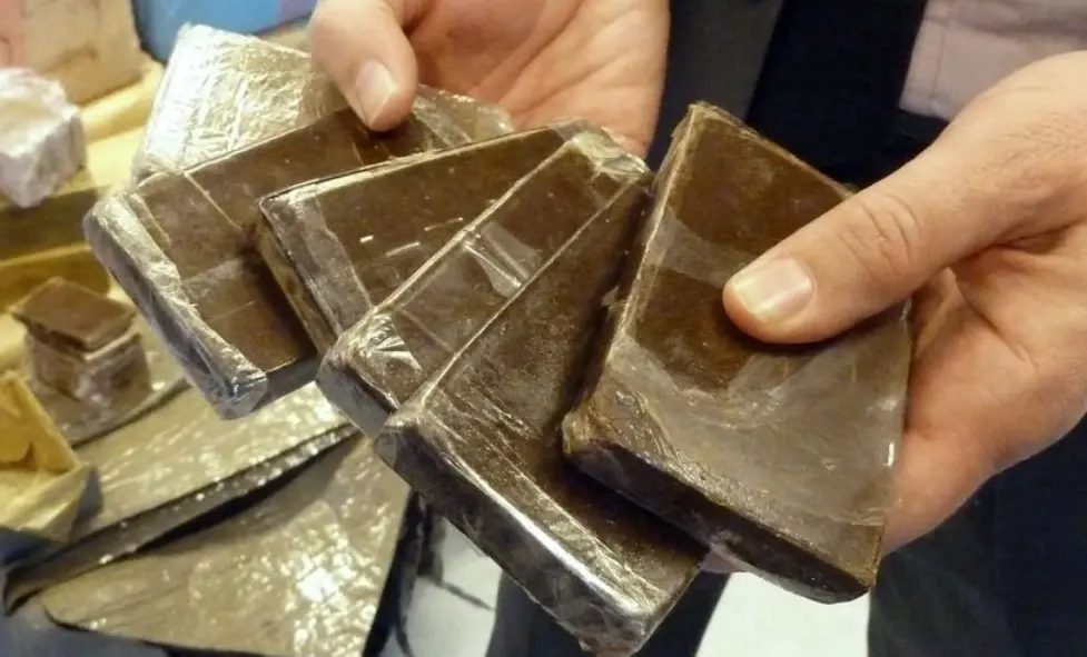 Over one tonne of cannabis resin seized in latest operation exposing Moroccan drug flow to Europe