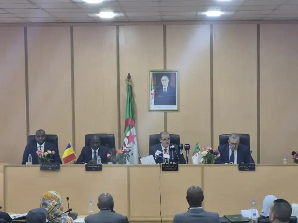 Ministro de Comercio Exterior examina las perspectivas de cooperación económica y comercial con su homólogo de Chad