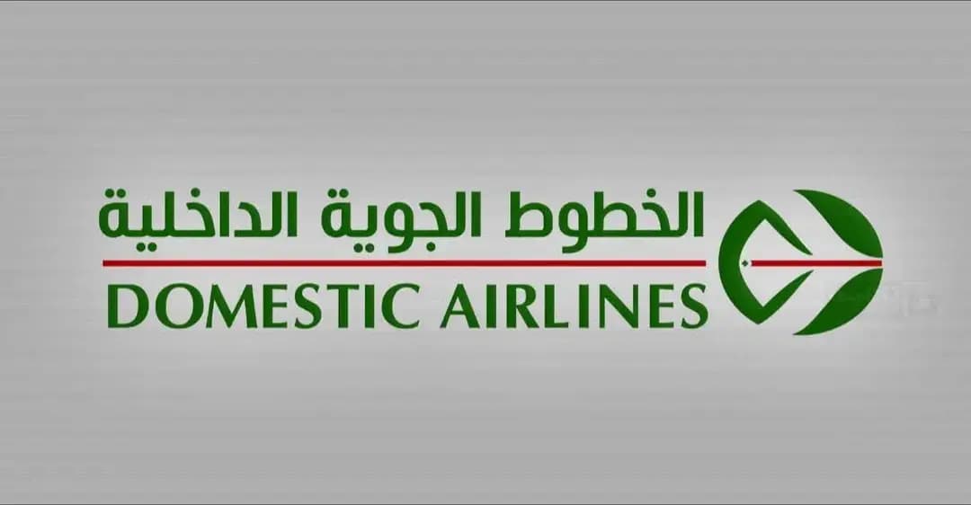 Domestic Airlines