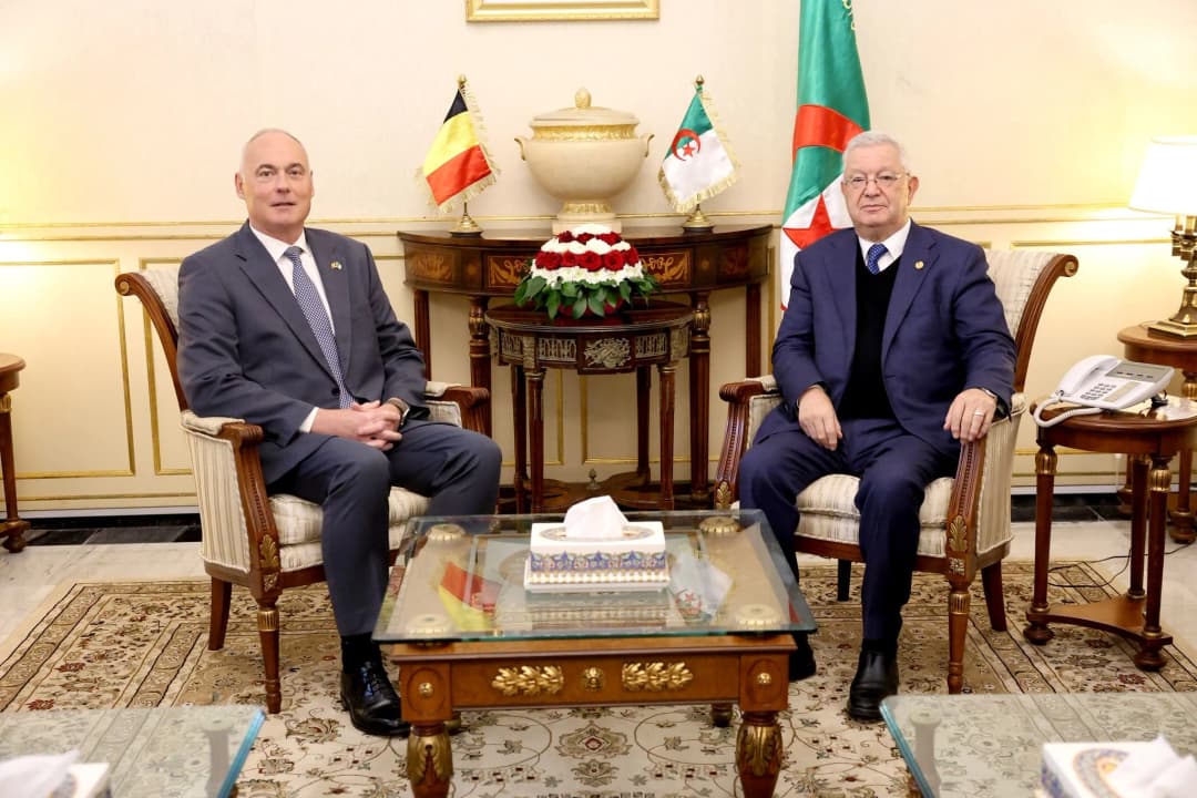 Presidente del Consejo de la Nación recibe al embajador de Bélgica en Argelia