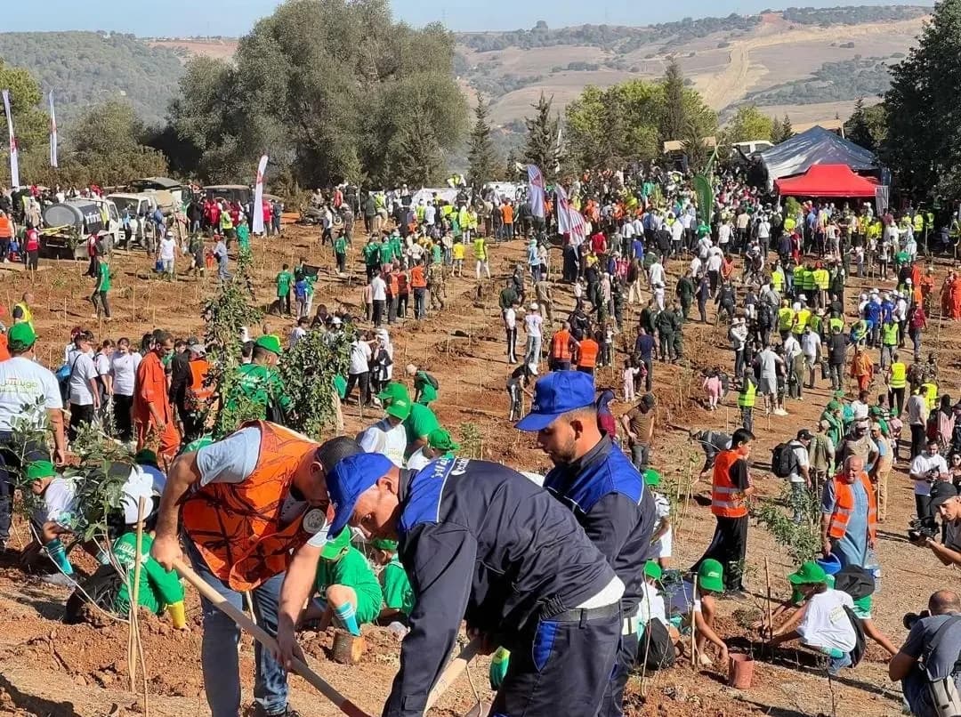 Movilización histórica en Argelia para plantar un millón de árboles