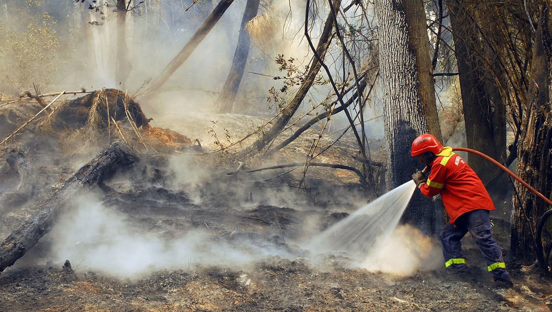 Los incendios forestales mantienen en alerta a la Patagonia