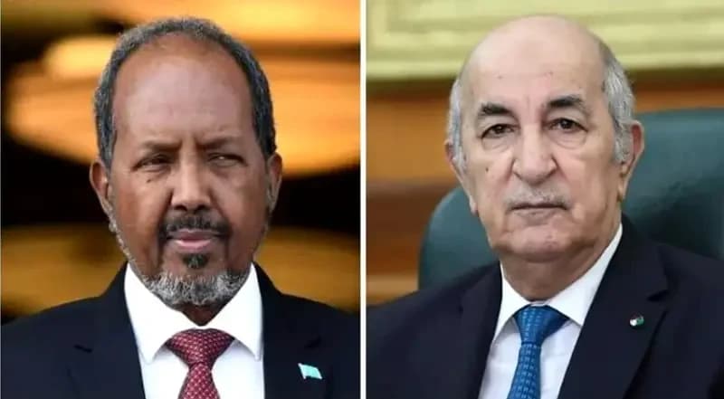 Presidente Tebboune preside con su homólogo somalí la firma de varios acuerdos de cooperación