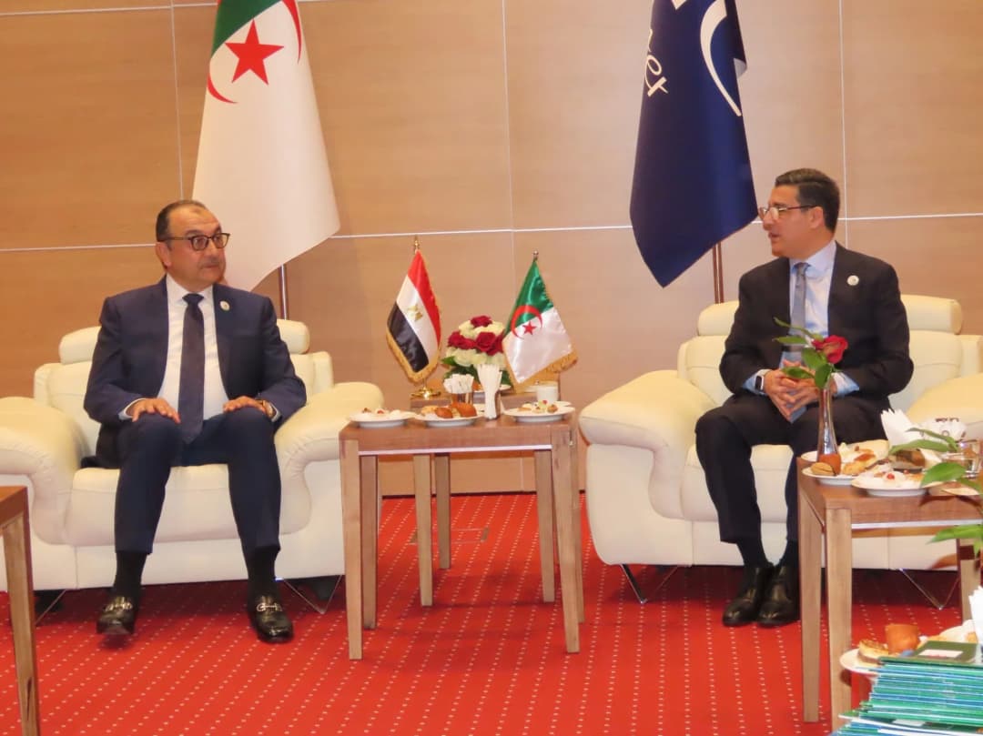 Ministro de Sanidad se reúne con el ministro de Empresas Públicas de Egipto