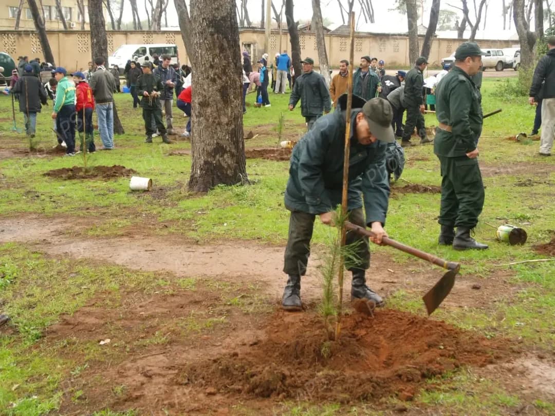 Reforestación: campaña nacional para plantar un millón de árboles el 25 de octubre