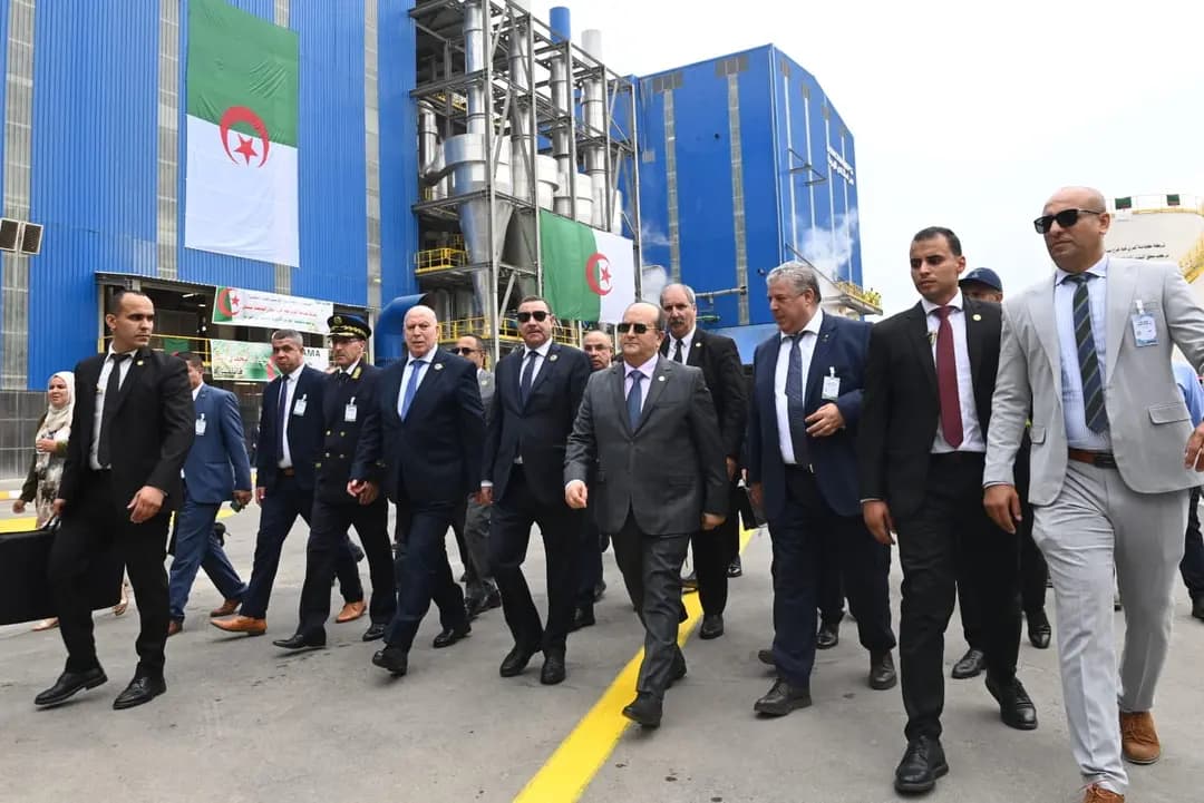 PM supervisa la segunda fase de la terminal de contenedores en el puerto de Djen Djen
