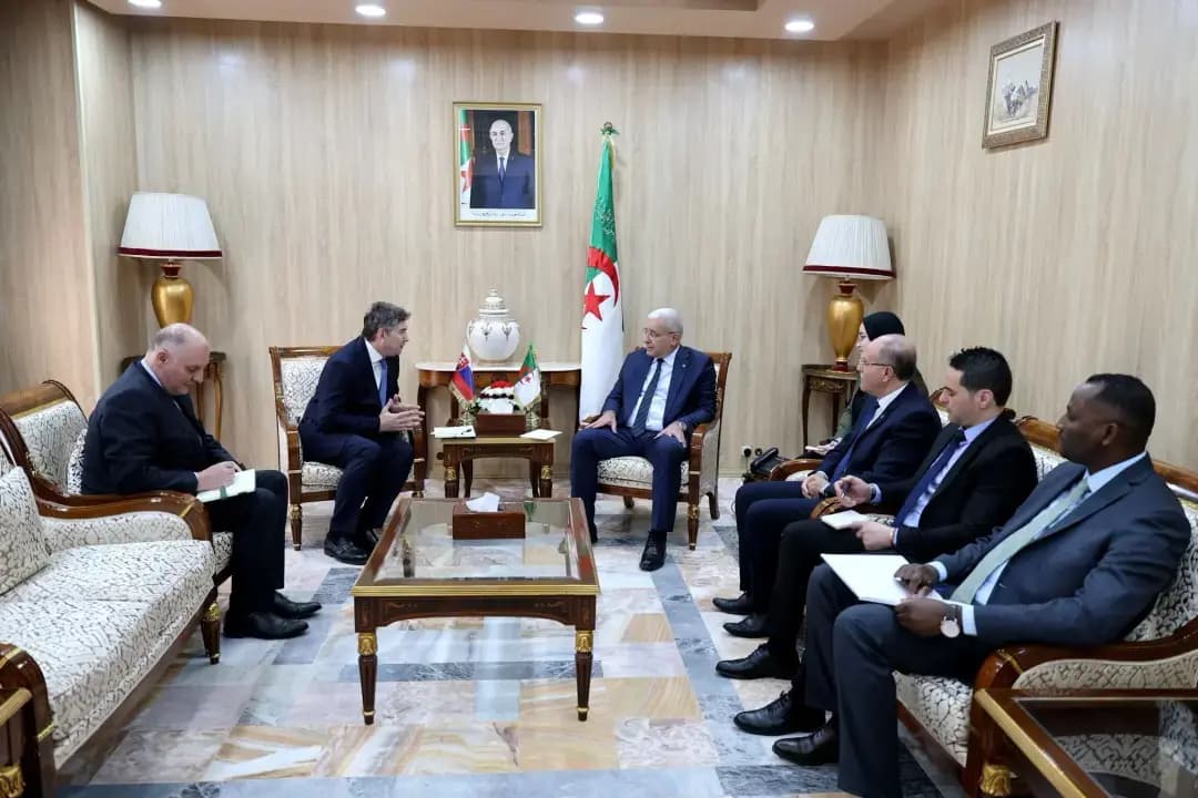 Boughali recibe al embajador eslovaco en Argelia