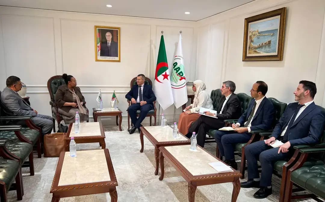 Argelia y Sudáfrica examinan oportunidades para desarrollar proyectos de inversión conjuntos