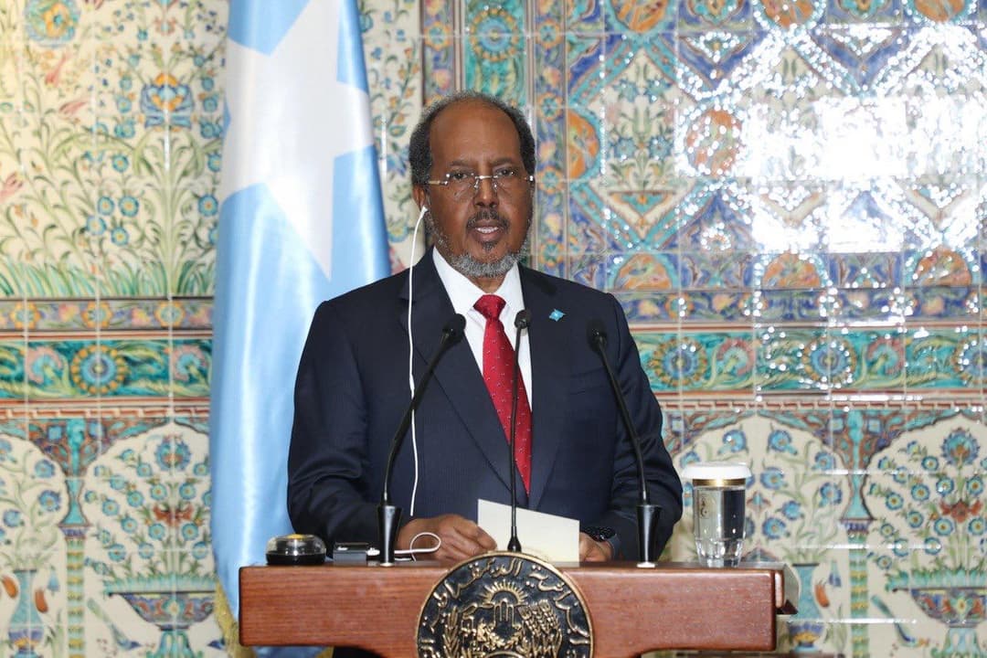 Presidente somalí elogia el papel de Argelia en la promoción de la paz, la justicia y la solidaridad africana
