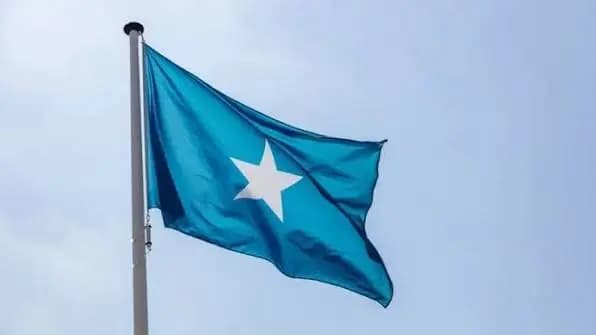 Somalia anula todos sus acuerdos con los Emiratos Árabes Unidos
