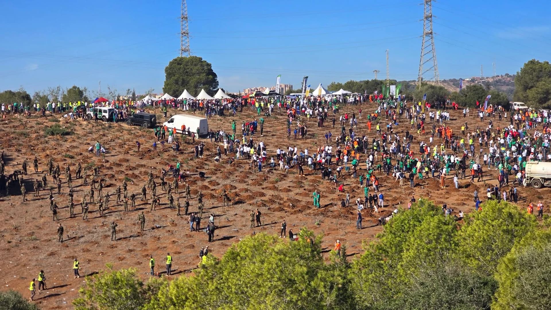 la campaña nacional del millón de árboles 
