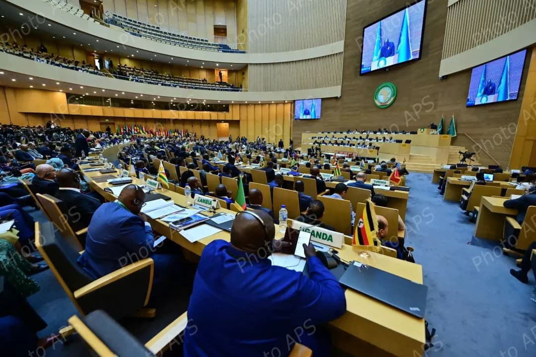 Elogiados el papel y los esfuerzos de Argelia en el seno de la Unión Africana