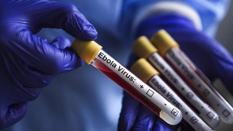 Balance del ébola en RD del Congo asciende a 625 muertos