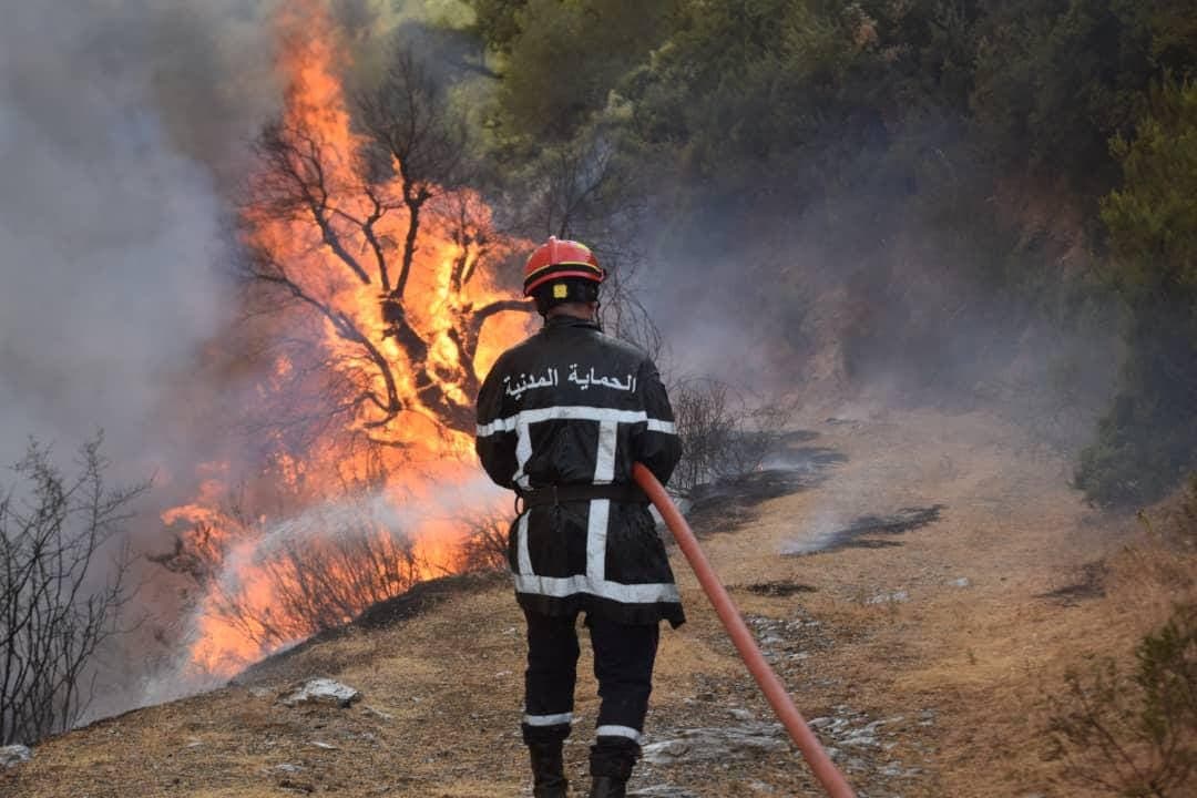 El director general de Bosques (DGF), Djamel Touahria, afirmó que la campaña nacional de prevención y lucha contra los incendios forestales avanza a buen ritmo, gracias especialmente a los recursos humanos y materiales movilizados para tal fin