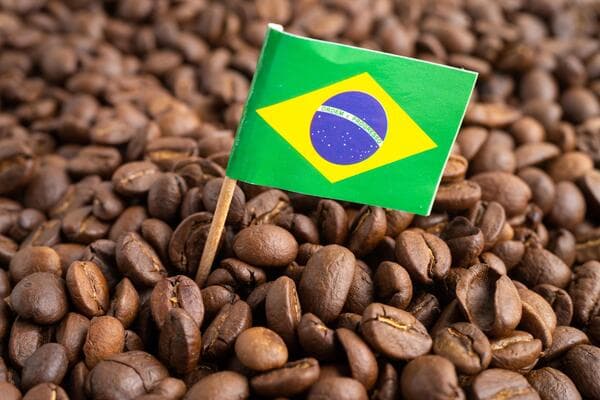 Cosecha de café en Brasil alcanzará récord histórico en 2026