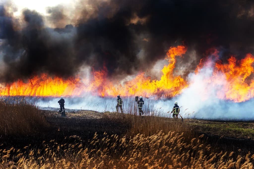 Condiciones climáticas extremas complican la lucha contra los incendios en la Patagonia argentina