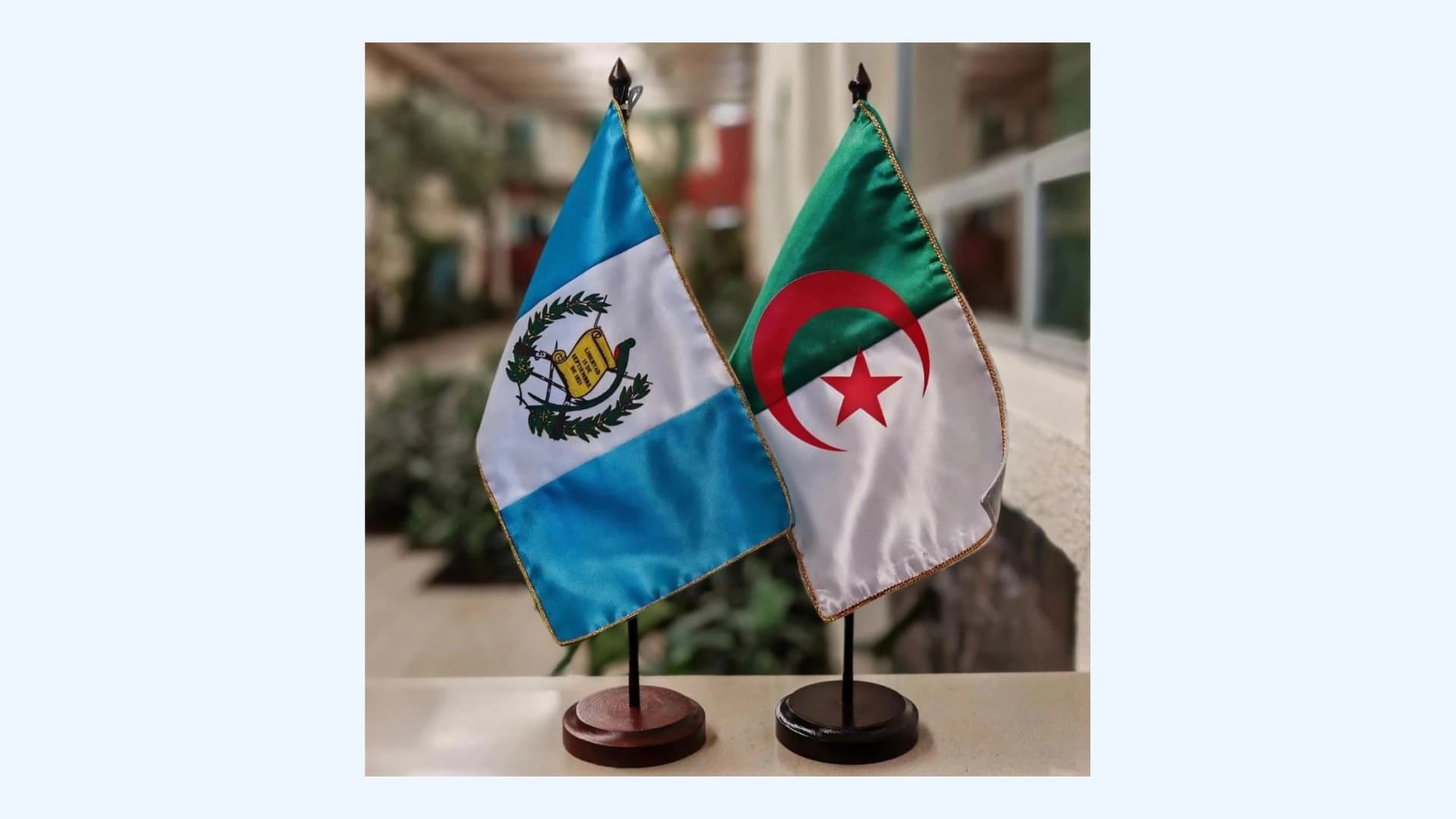 Argelia y Guatemala celebran 36 años de relaciones diplomáticas