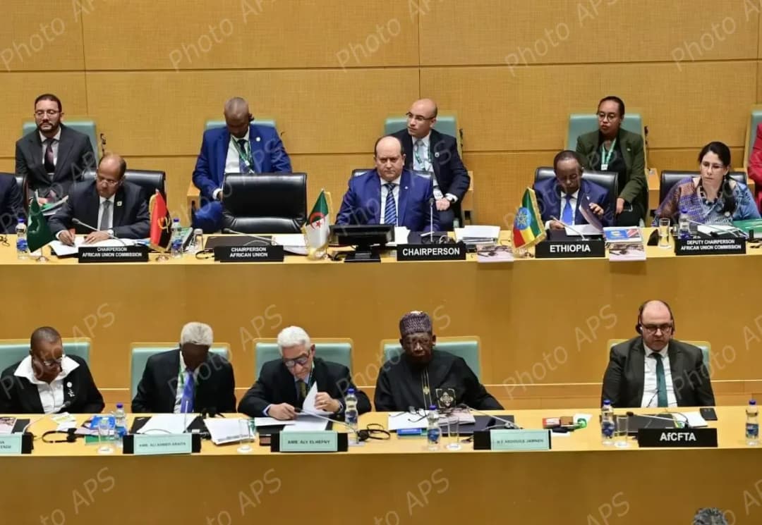 Inicio de la 35.ª Cumbre de jefes de Estado y de Gobierno del MAEP con la participación del PM