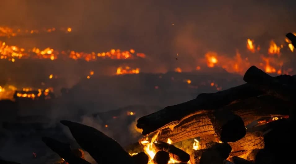 Corea del Sur: habitantes del sureste llamados a evacuar por un incendio forestal