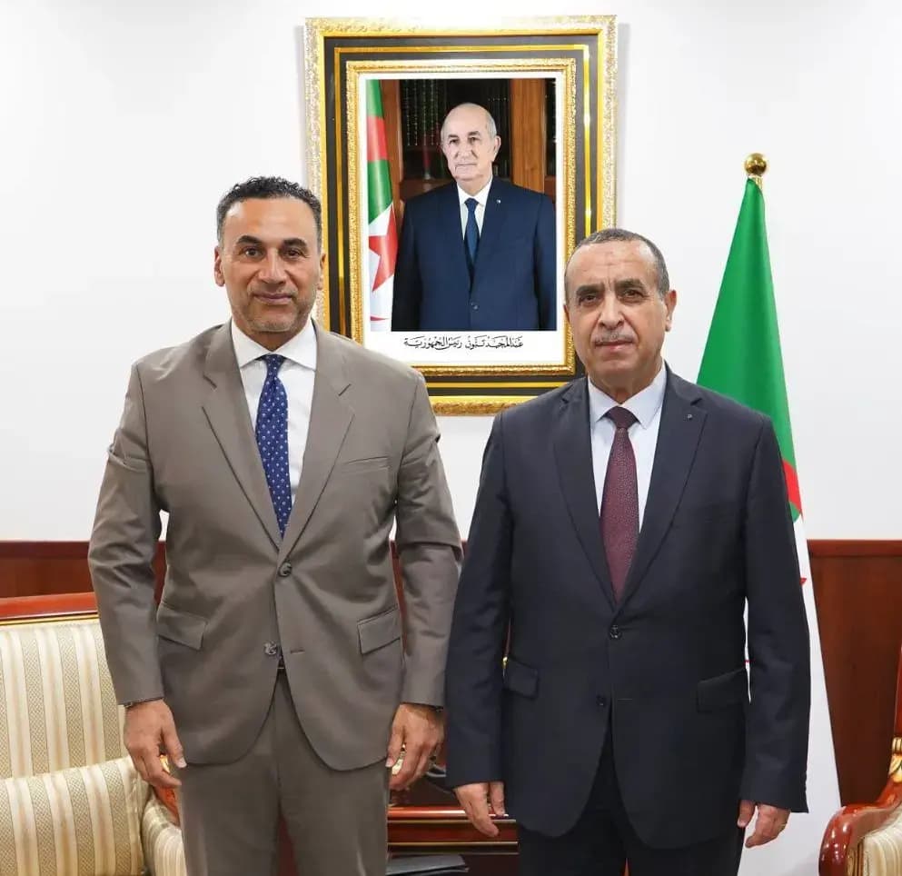 Ministro de Energía recibe a Elsewedy Electric para reforzar la cooperación con Sonelgaz