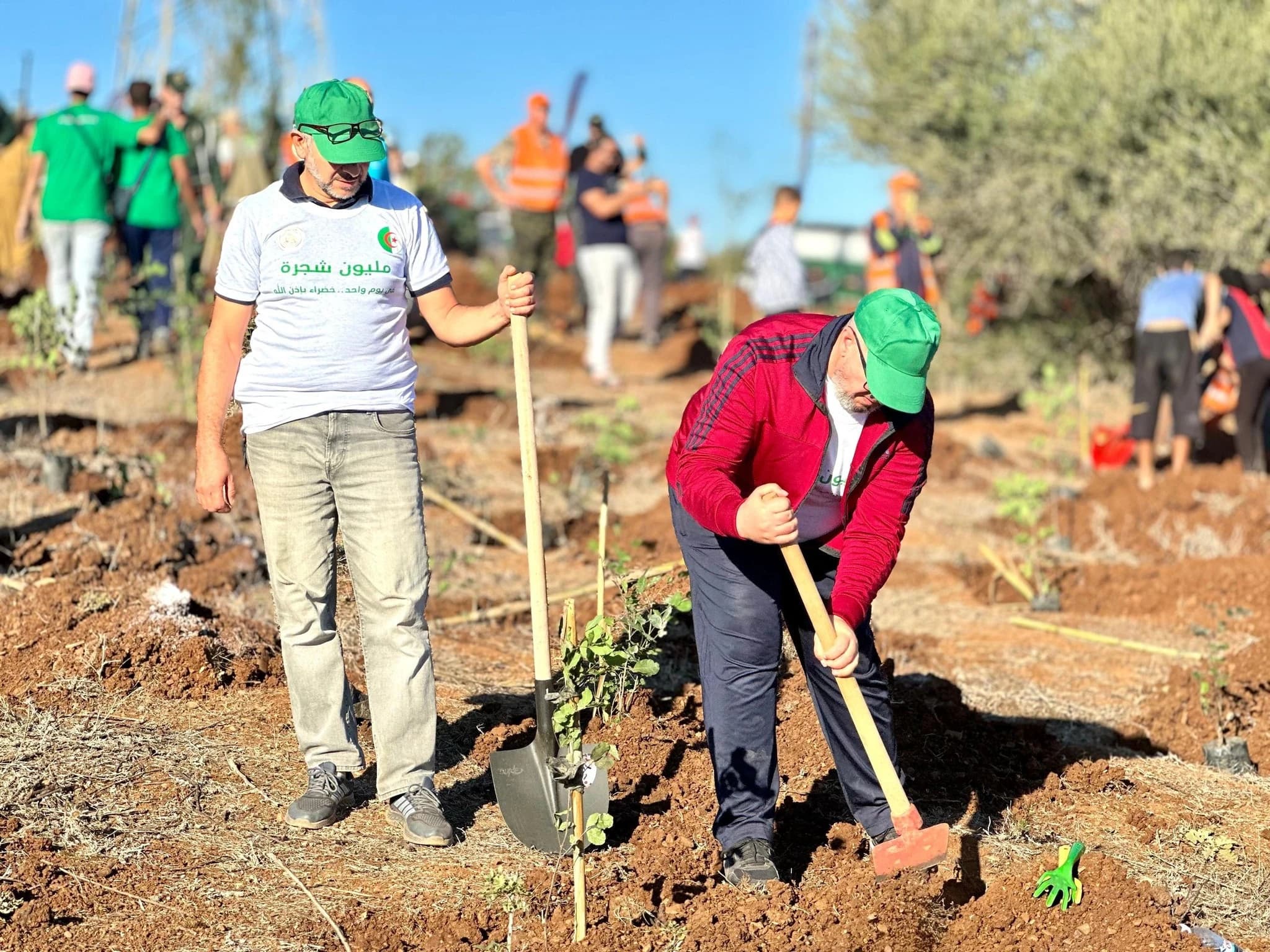 la campaña nacional del millón de árboles 
