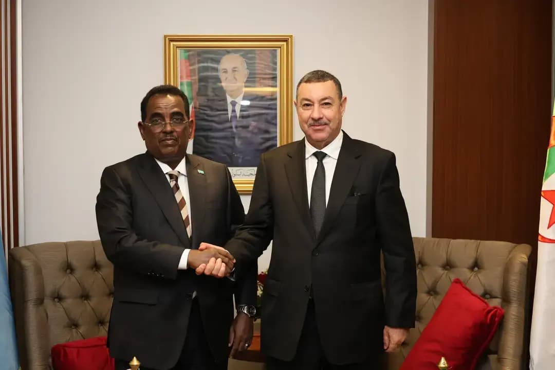 Sayoud recibe al ministro somalí del Interior, de Asuntos Federales y de la Reconciliación