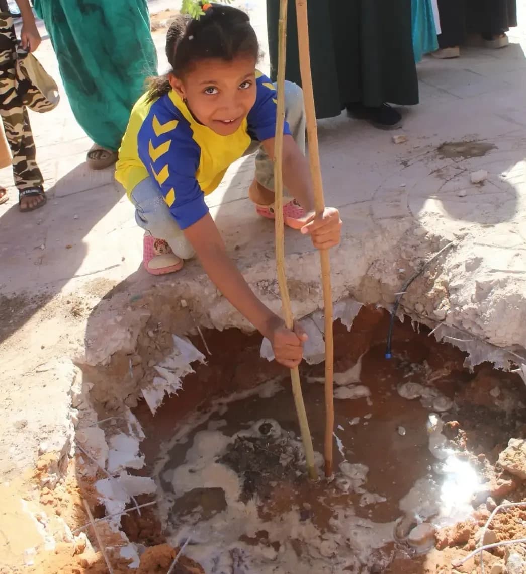 El sur de Argelia se suma a la campaña del millón de árboles