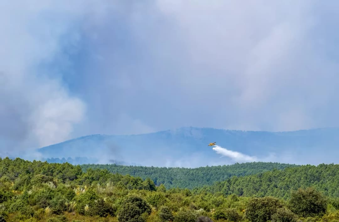 Un incendio al norte de Madrid arrasa 12.000 hectáreas