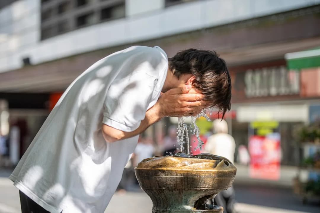 Ola de calor en Francia: incendio en los Pirineos arrasa cerca de 1.000 hectáreas