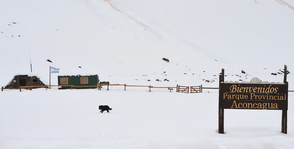 Intensas nevadas cierran el principal paso fronterizo entre Argentina y Chile