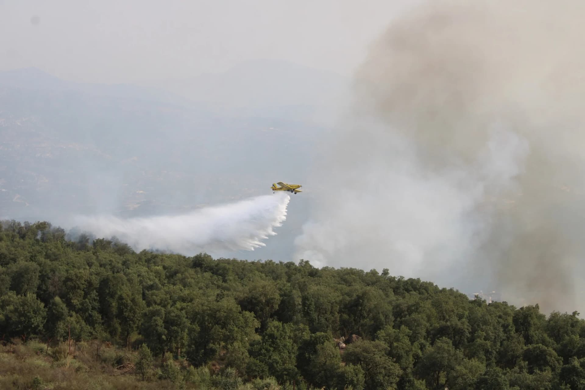 El Alto Mando del Ejército Nacional Popular (ANP) movilizó el lunes varios aviones de las Fuerzas Aéreas para participar en los esfuerzos de extinción de incendios declarados en Béjaïa, los cuales fueron controlados sin registrar pérdidas