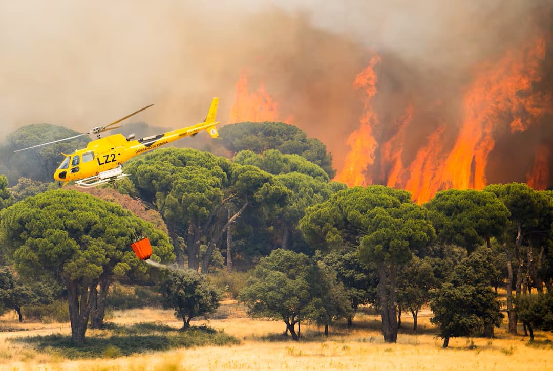 Ministro español del Interior señala avances en el combate contra los incendios al oeste de Madrid